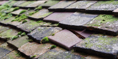 Watermead roof repair costs